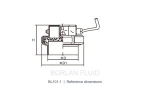 BL101-1 union sight glass light section drawing showing D, D1 and H dimensions