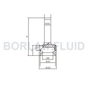 BL901-1 welded tank-top sight glass light dimension drawing with DN D1 D2 D3 H L and L1 labels